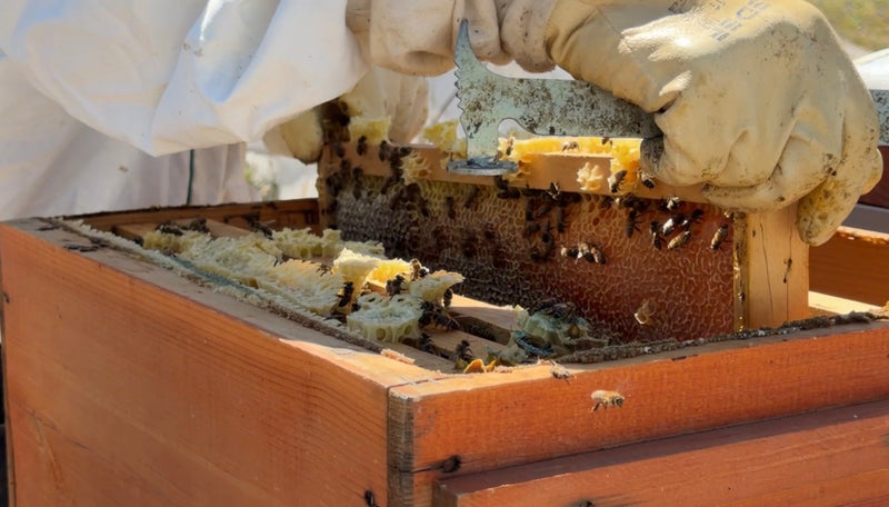 The apiary above Yastık